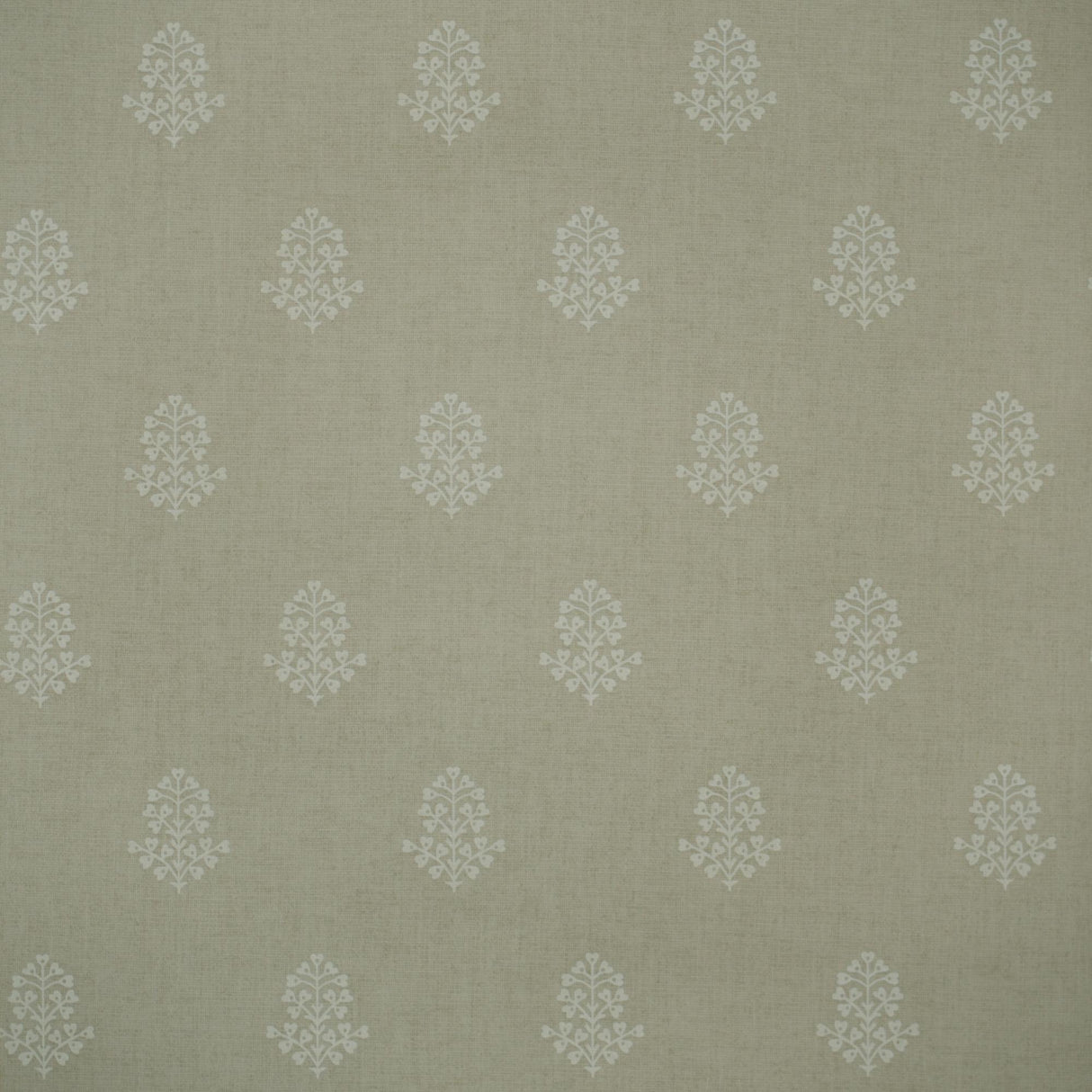 Andrew Martin COW PARSLEY STONE Wallpaper