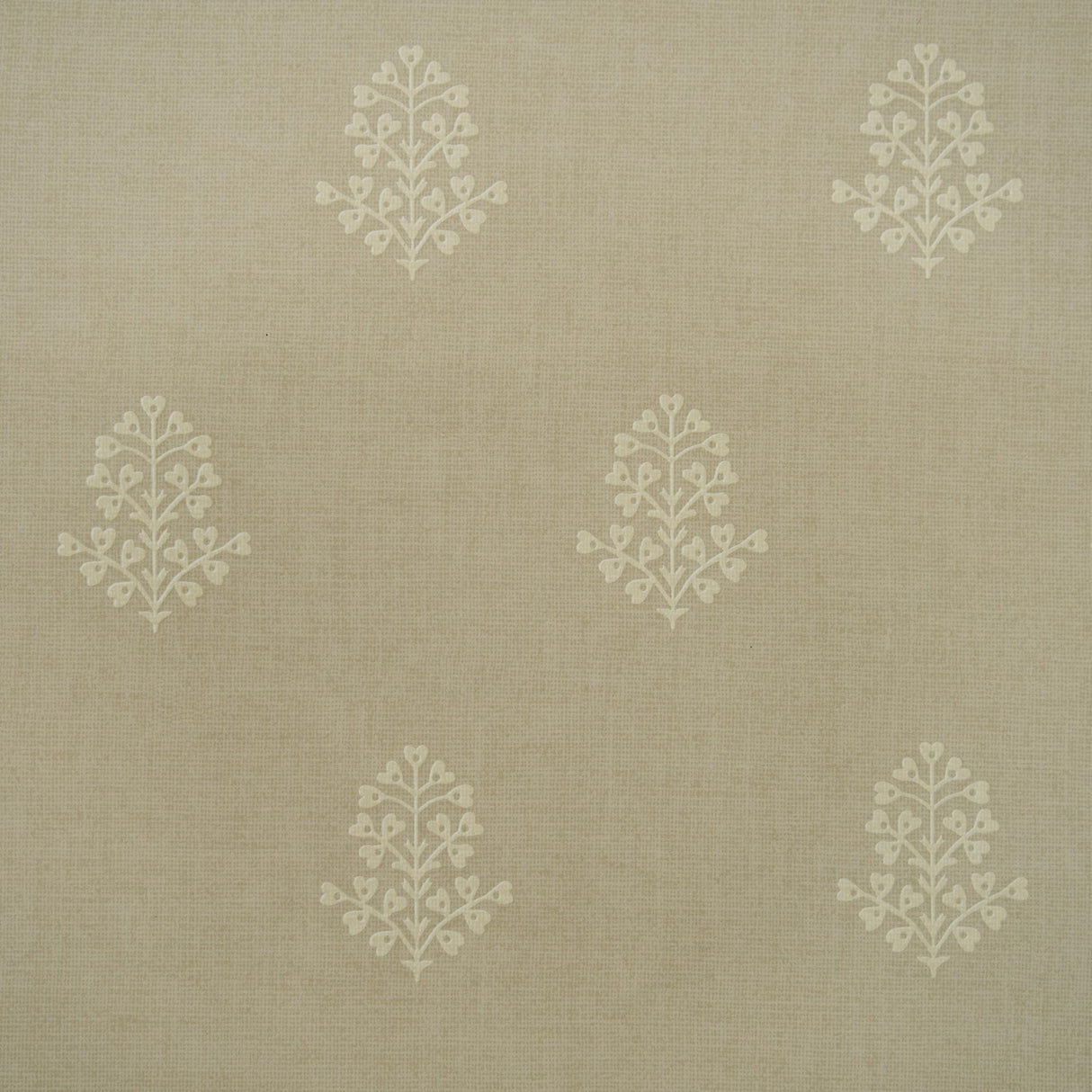Andrew Martin COW PARSLEY STONE Wallpaper