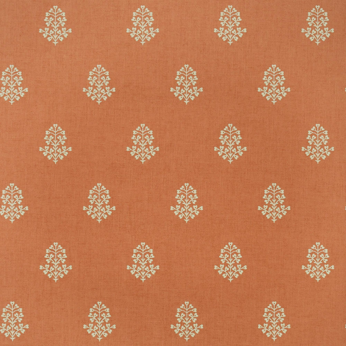 Andrew Martin COW PARSLEY CLEMENTINE Wallpaper
