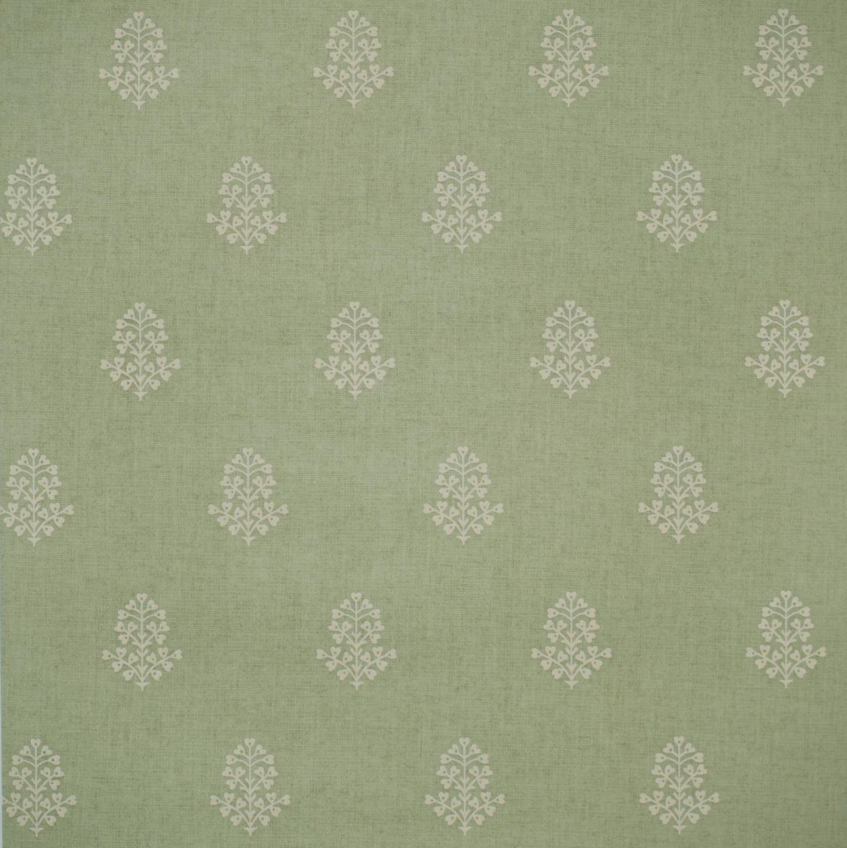 Andrew Martin COW PARSLEY LEAF Wallpaper