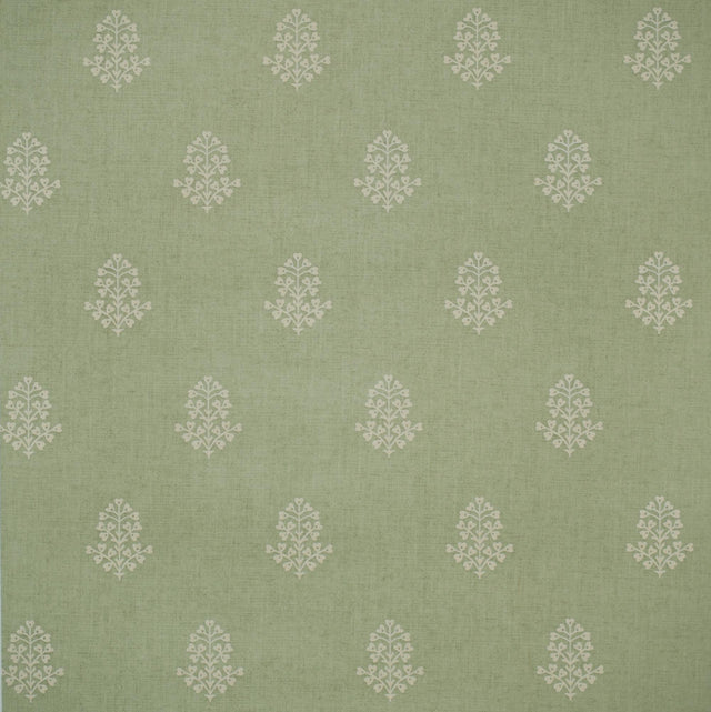Andrew Martin COW PARSLEY LEAF Wallpaper