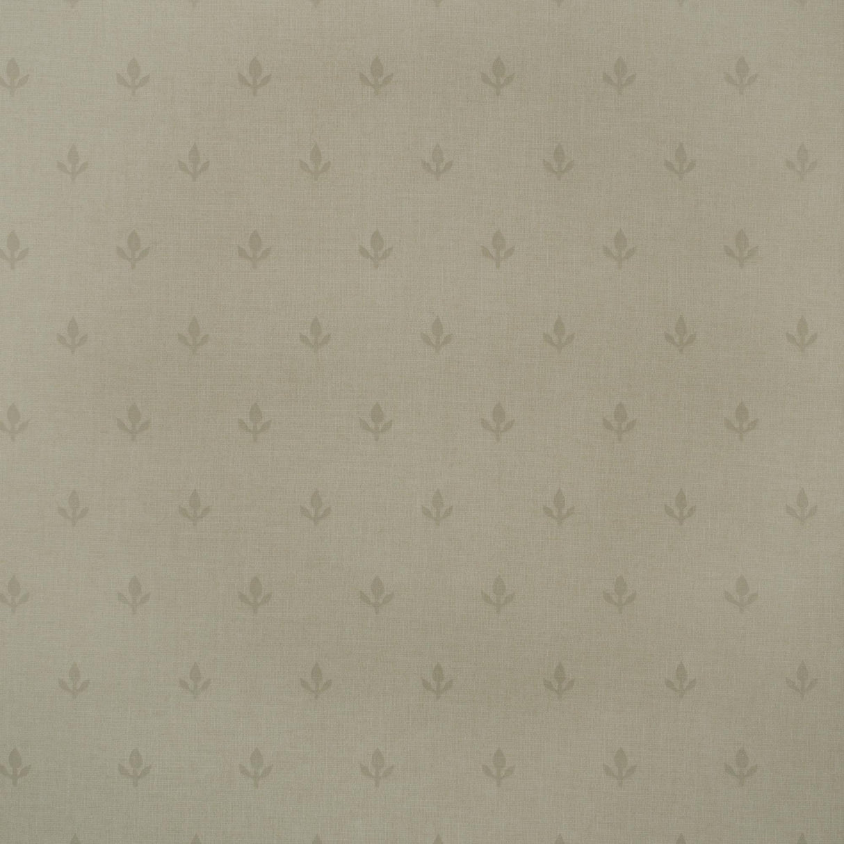 Andrew Martin CROCUS STONE Wallpaper