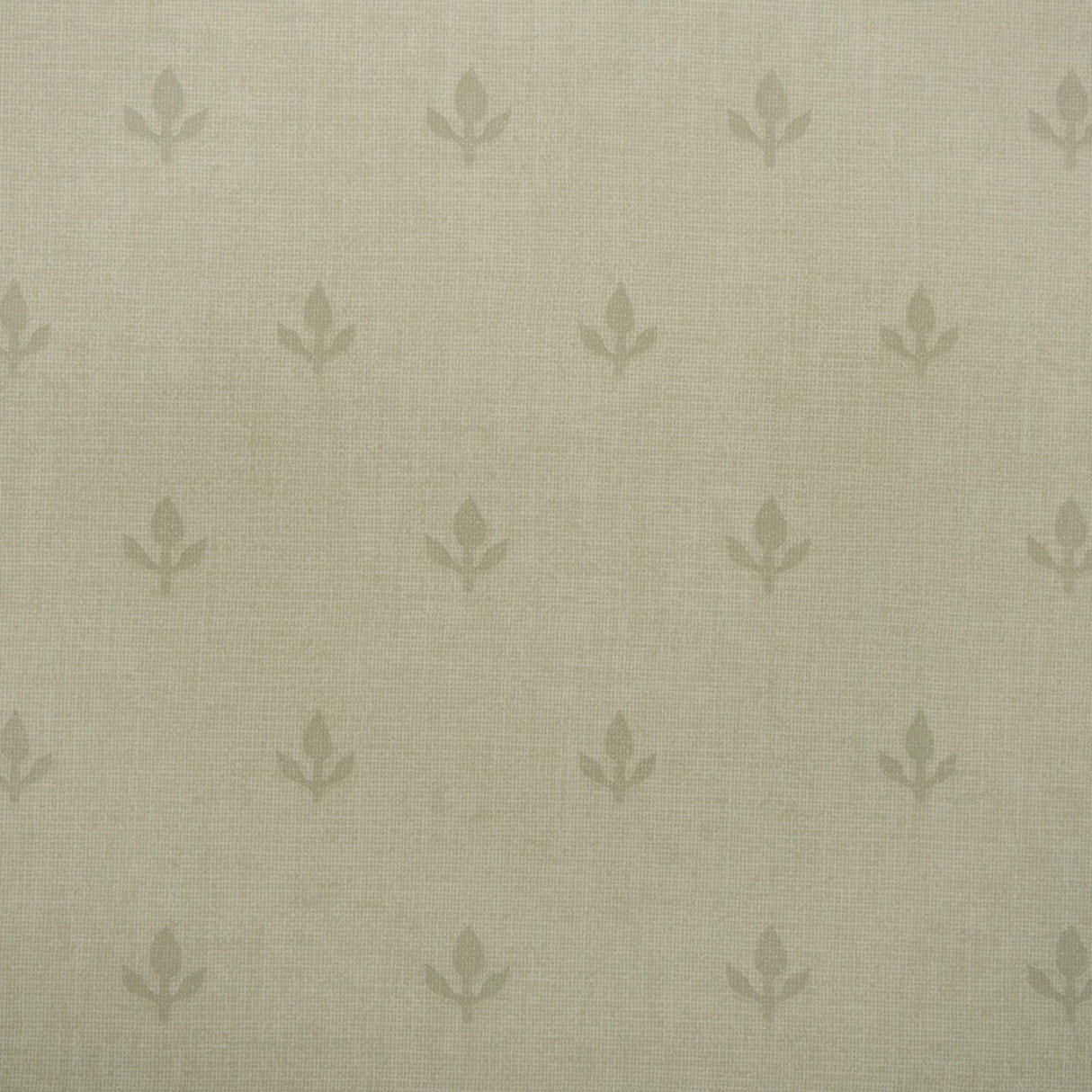 Andrew Martin CROCUS STONE Wallpaper