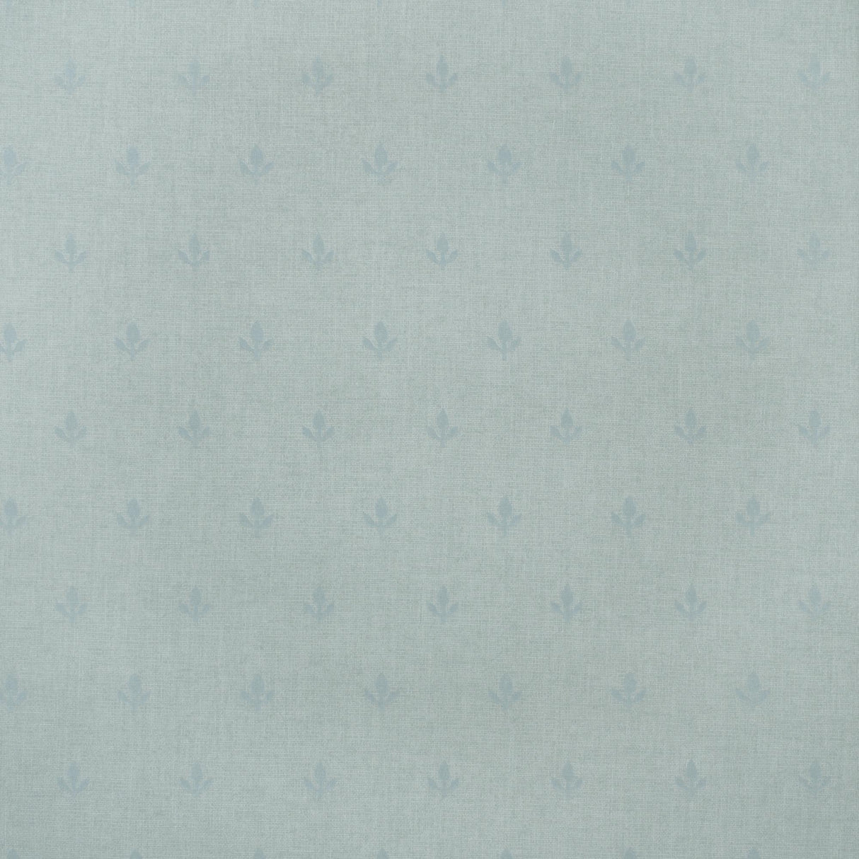 Andrew Martin CROCUS SKY Wallpaper