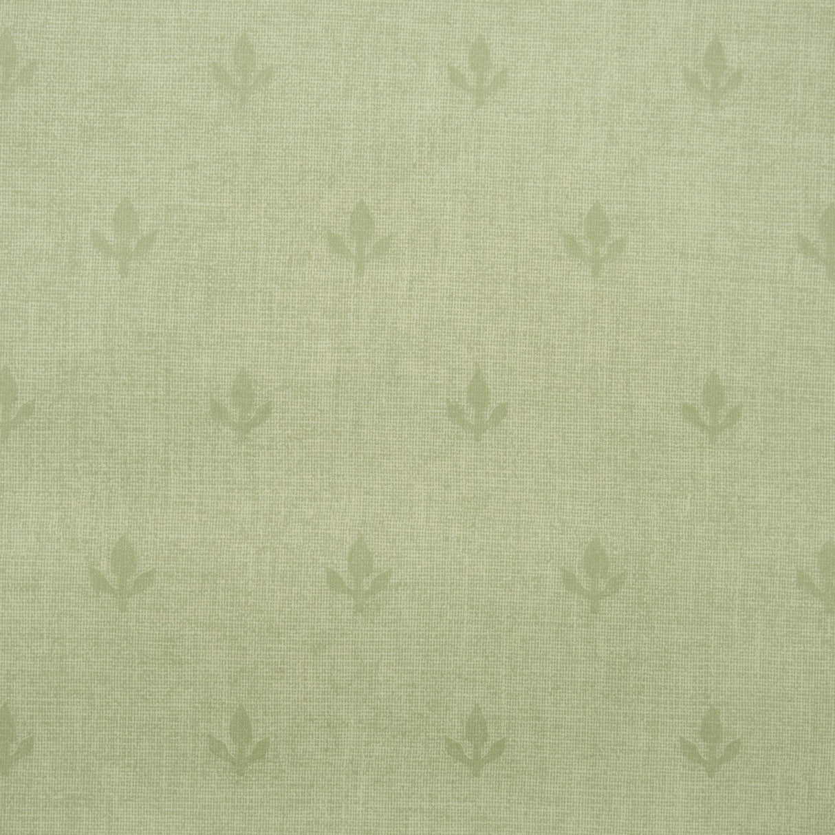 Andrew Martin CROCUS LEAF Wallpaper