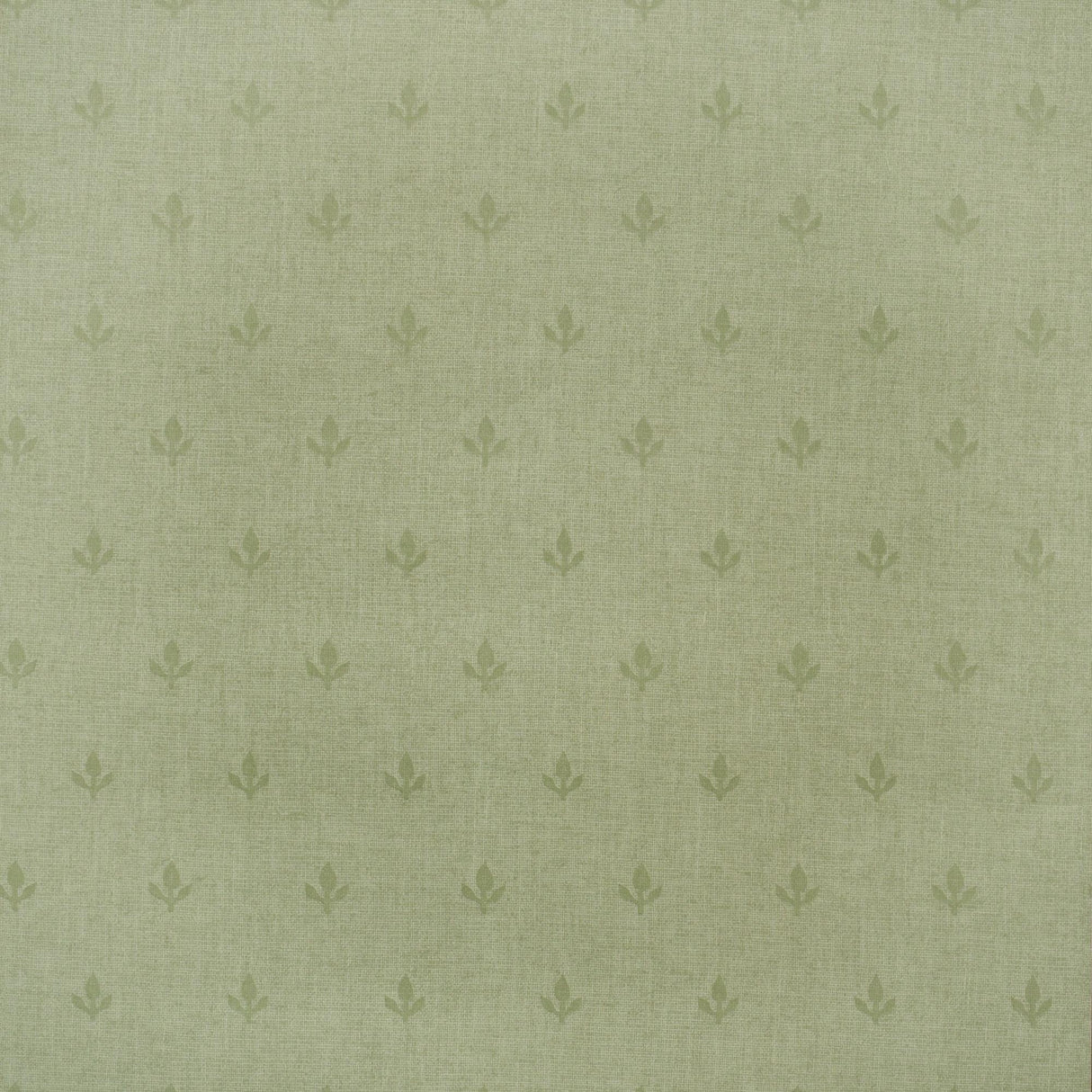 Andrew Martin CROCUS LEAF Wallpaper