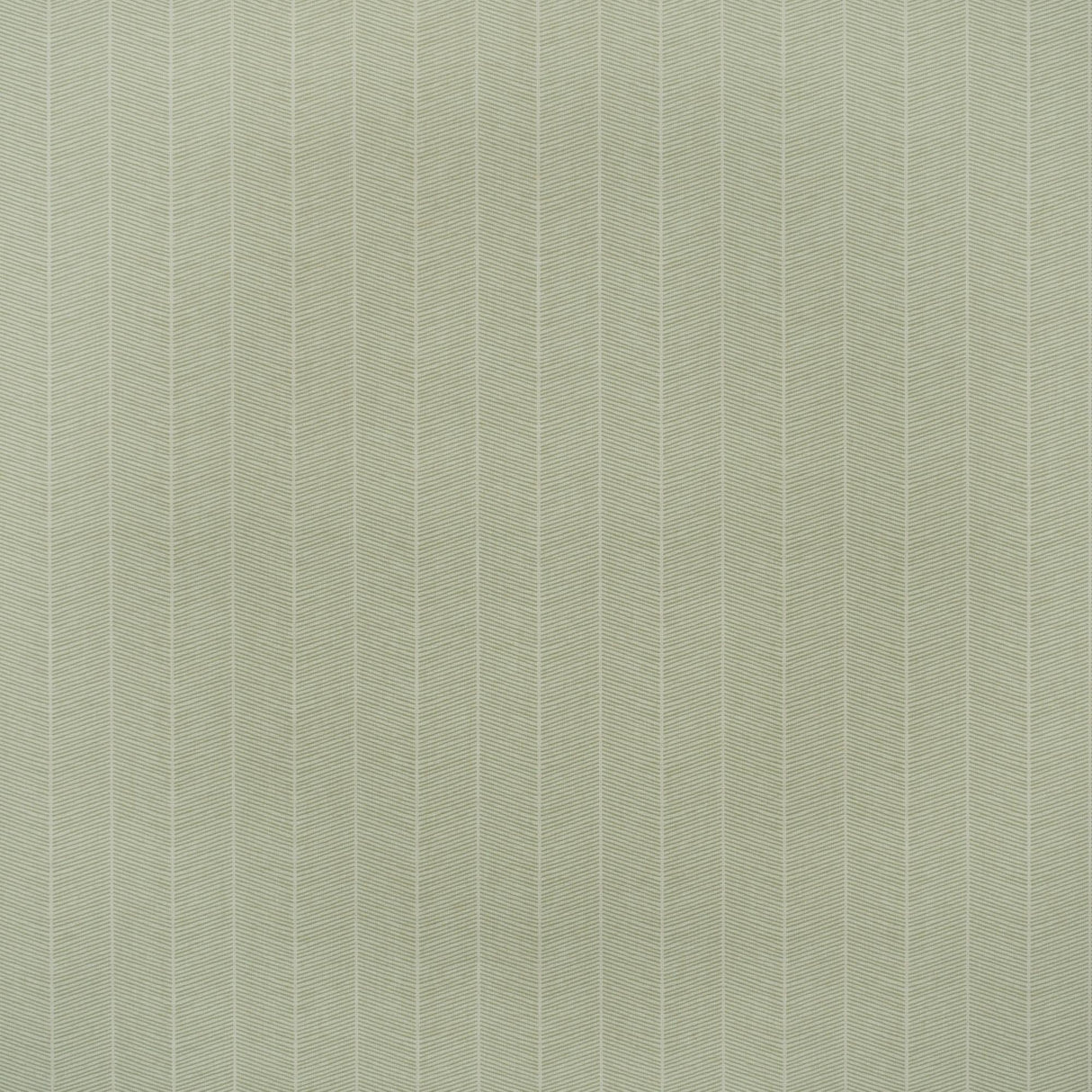 Andrew Martin HORNBEAM LEAF Wallpaper