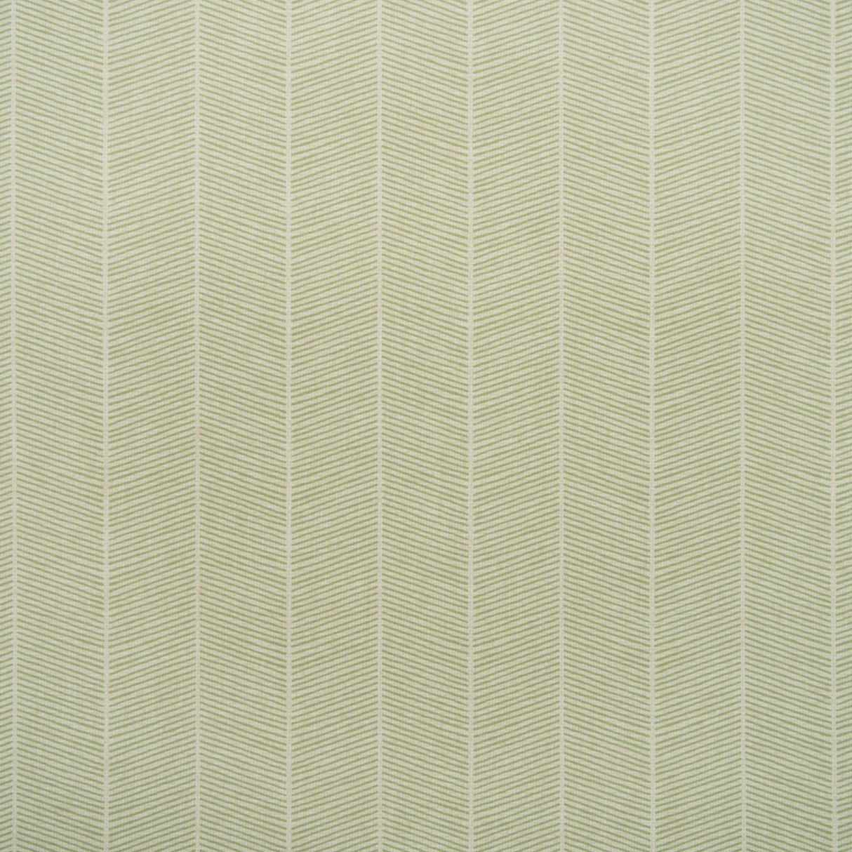 Andrew Martin HORNBEAM LEAF Wallpaper