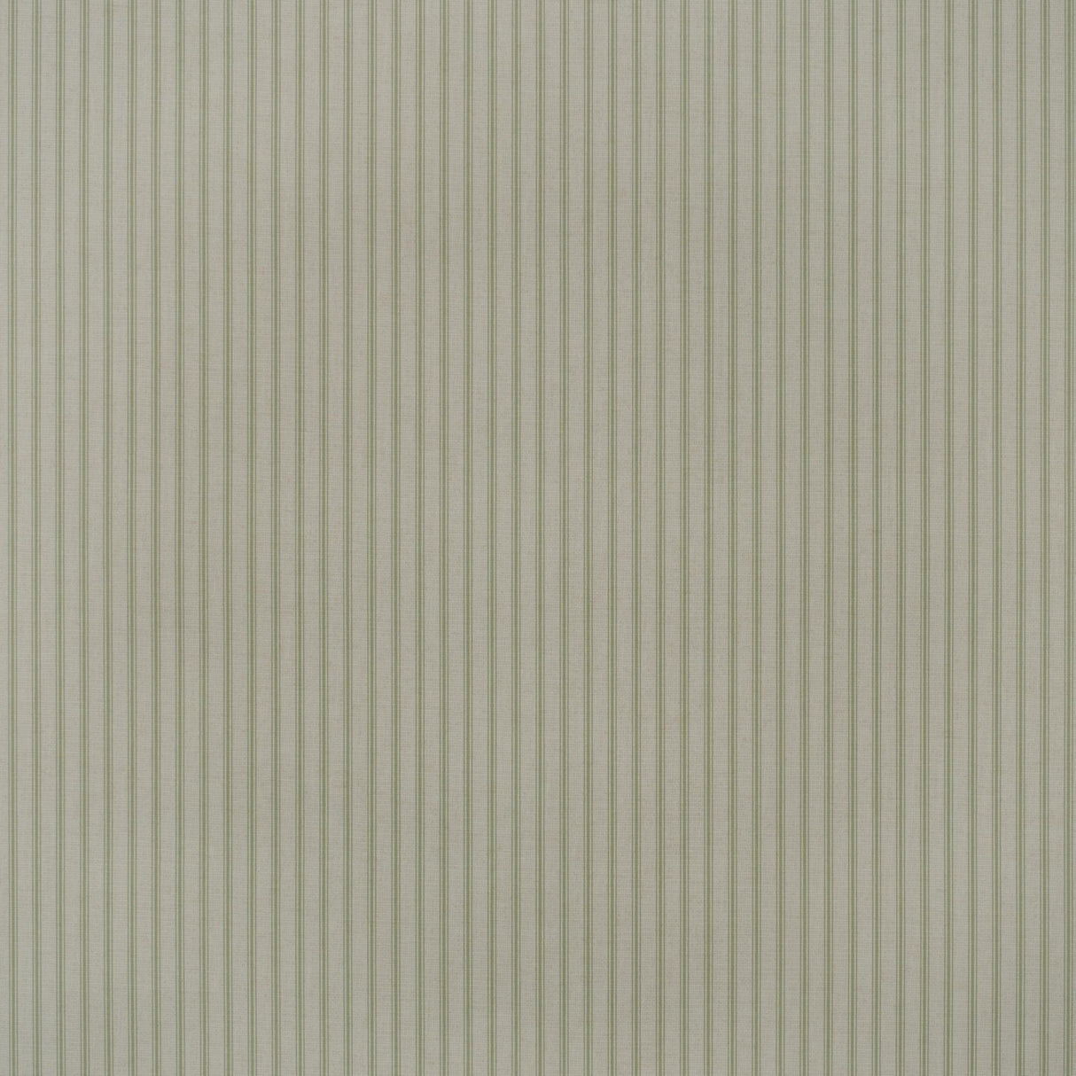 Andrew Martin TWINE LEAF Wallpaper