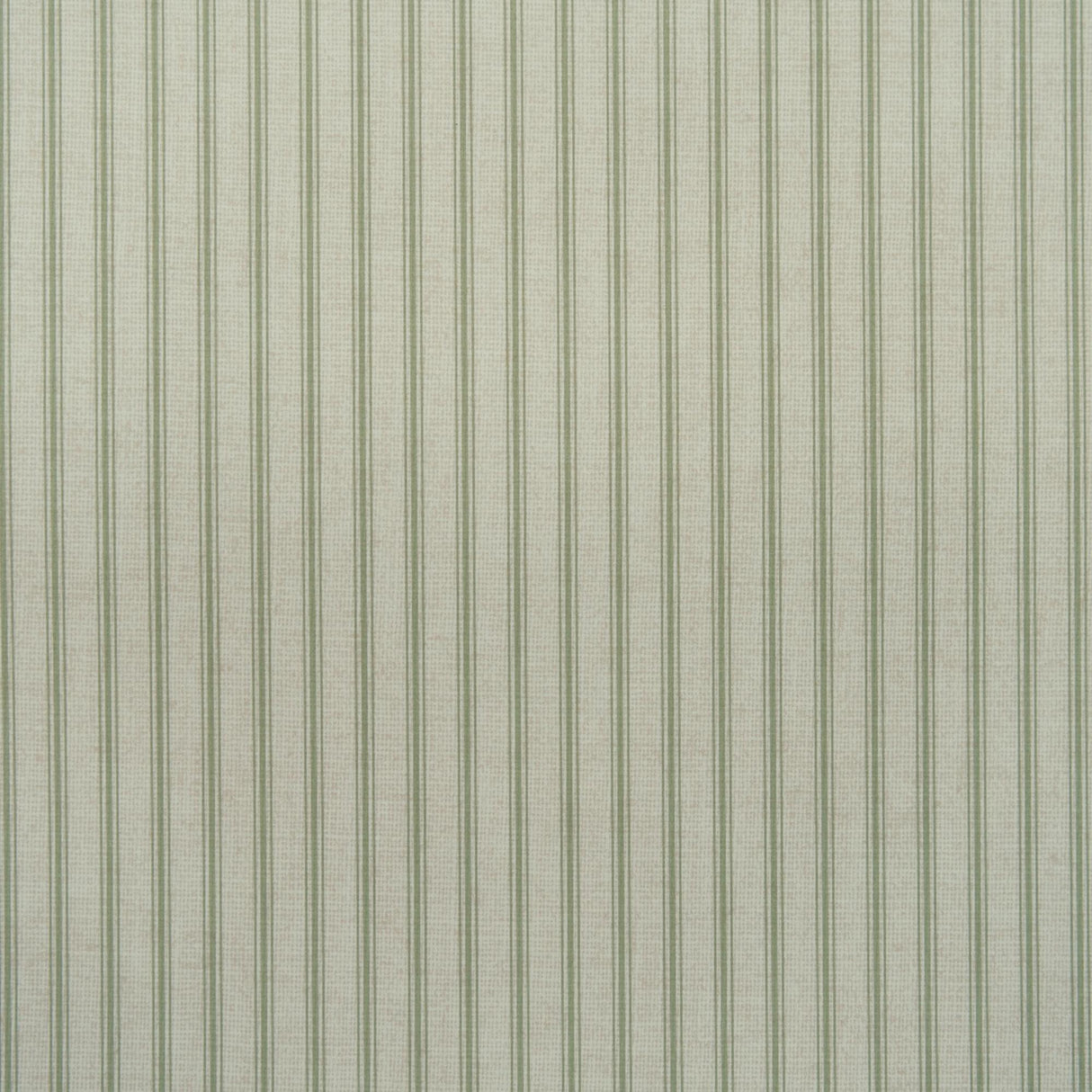 Andrew Martin TWINE LEAF Wallpaper