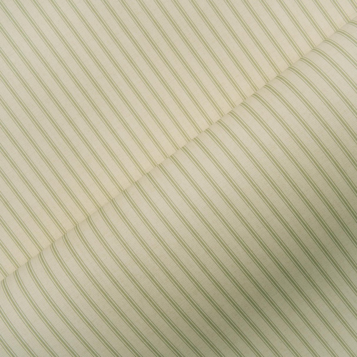 Andrew Martin TWINE LEAF Wallpaper