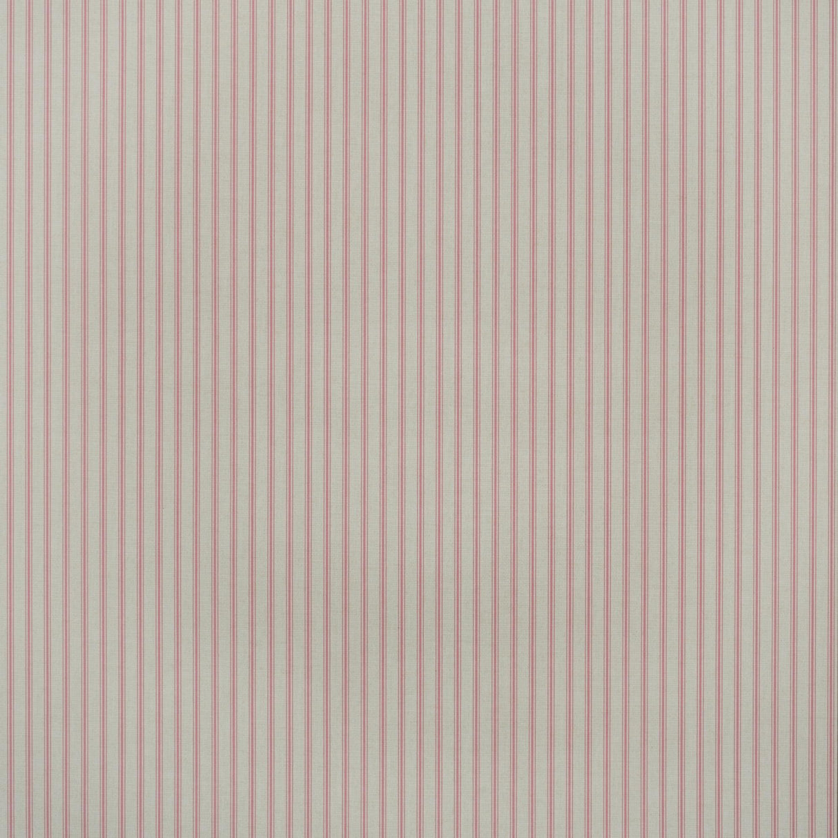 Andrew Martin TWINE PINK Wallpaper