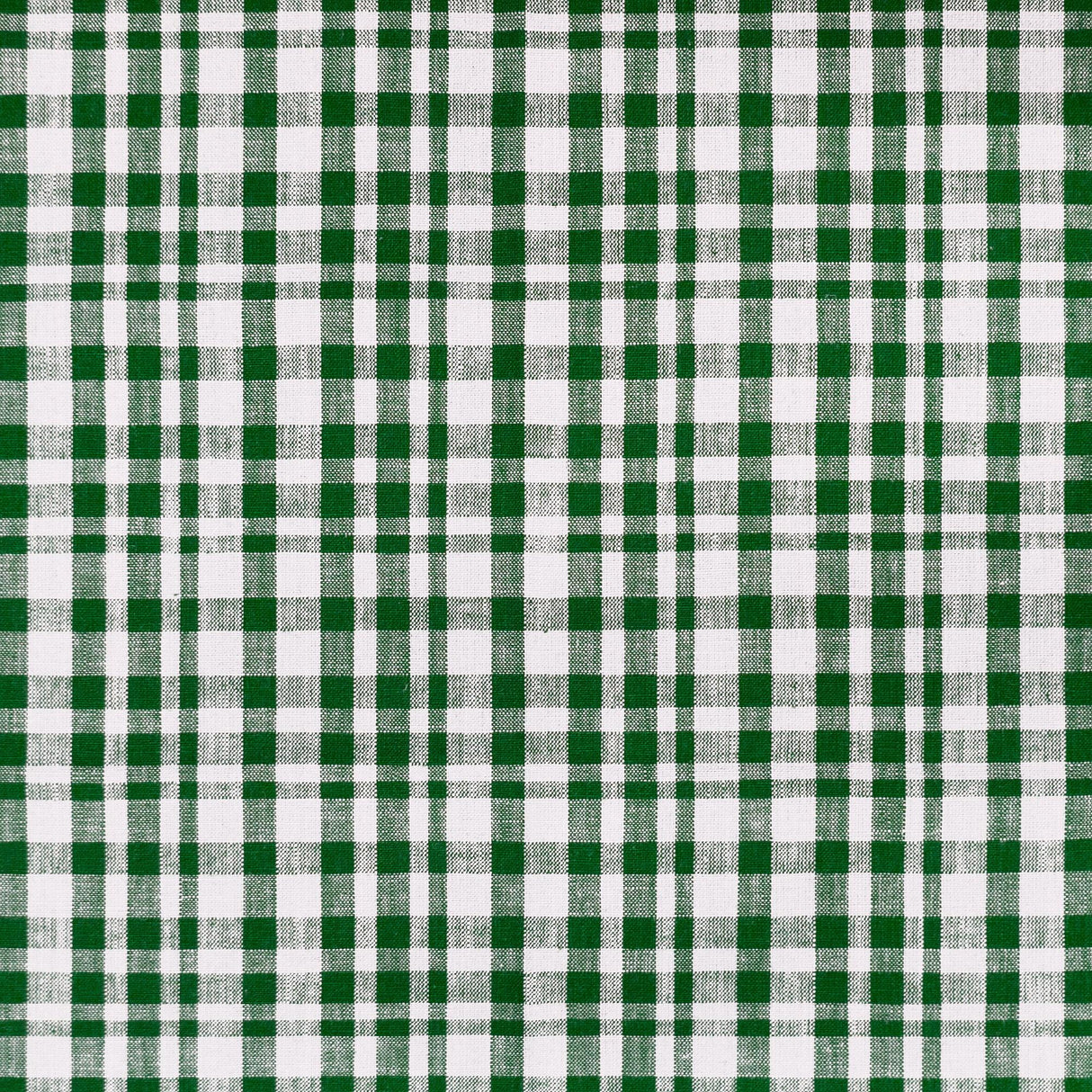 Gaston Y Daniela DRACH BLANCO/VERDE OSCURO Upholstery Fabric