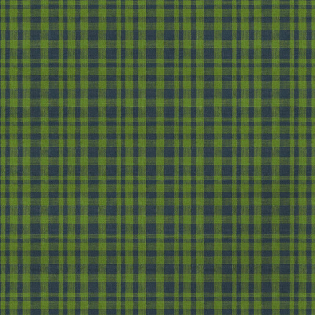 Gaston Y Daniela DRACH VERDE/AZUL Upholstery Fabric