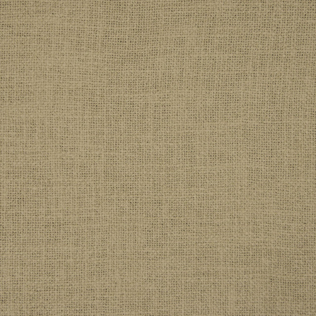 Gaston Y Daniela BELLVER SACO Drapery Fabric