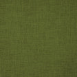 Gaston Y Daniela BELLVER HIERBA Drapery Fabric