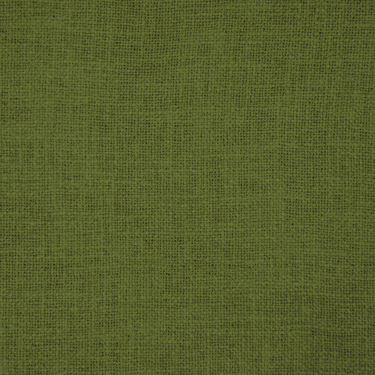 Gaston Y Daniela BELLVER HIERBA Drapery Fabric