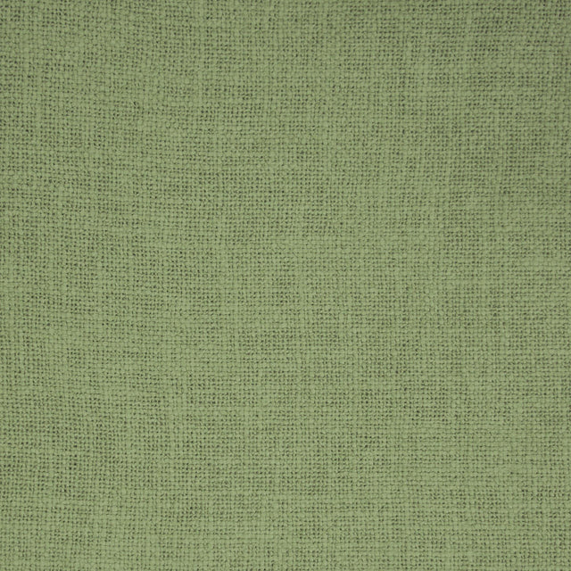 Gaston Y Daniela BELLVER MUSGO Drapery Fabric