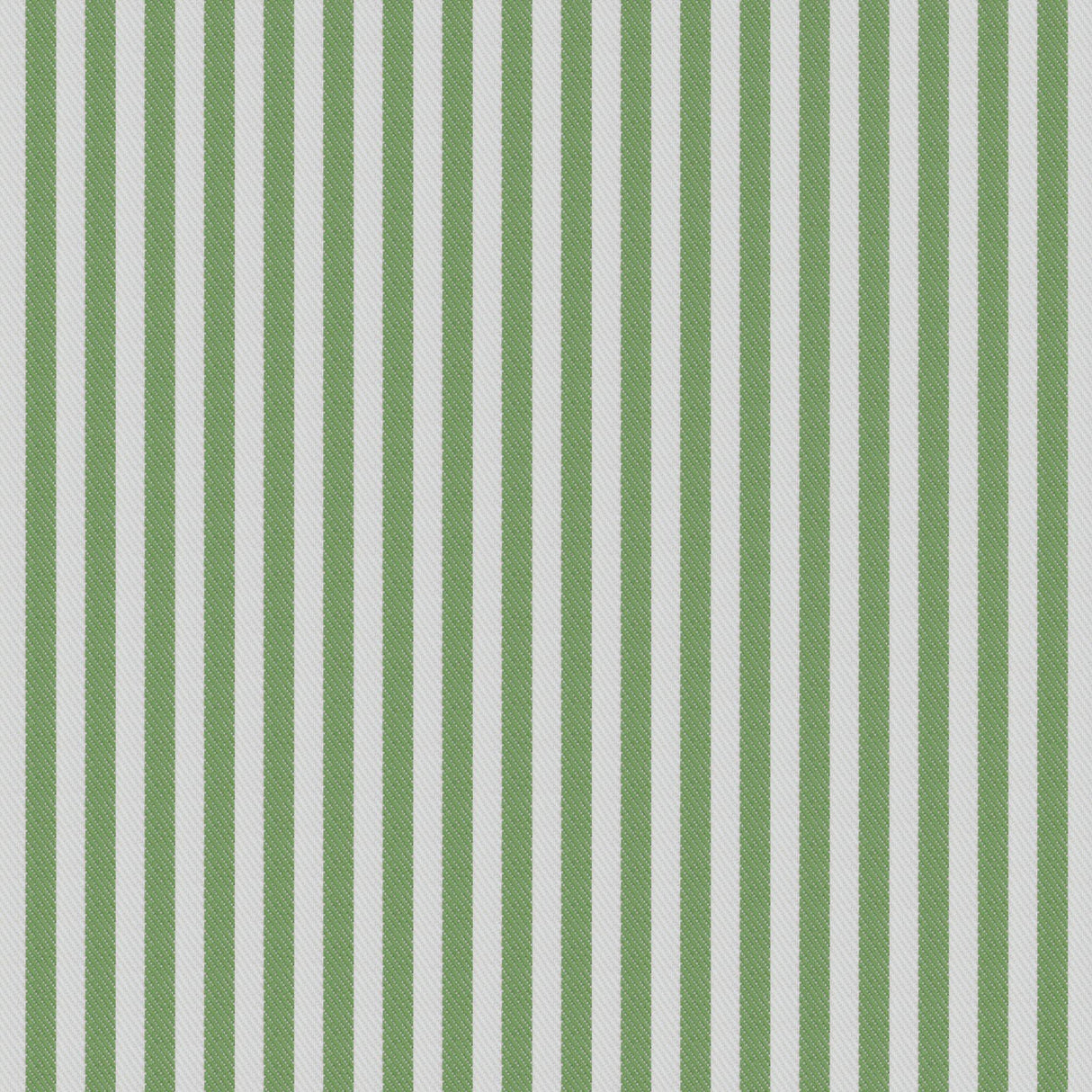 Gaston Y Daniela CALOBRA VERDE Drapery Fabric
