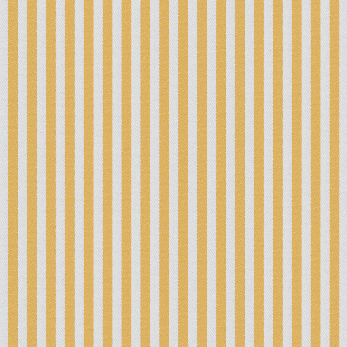 Gaston Y Daniela CALOBRA AMARILLO Drapery Fabric
