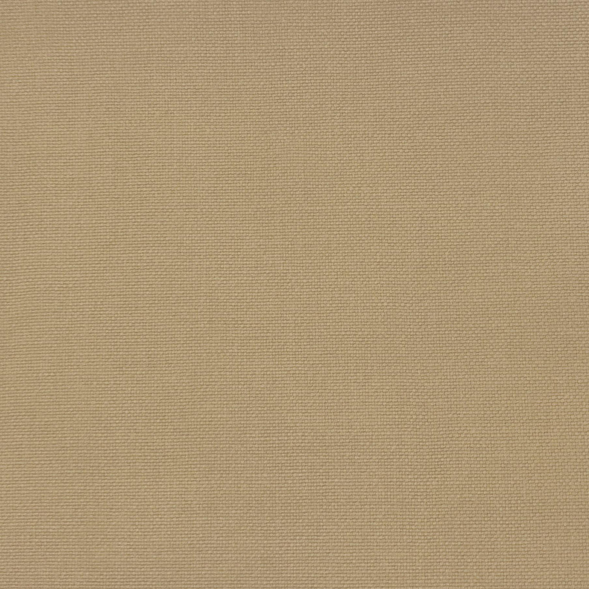 Gaston Y Daniela PALMA TIERRA Upholstery Fabric