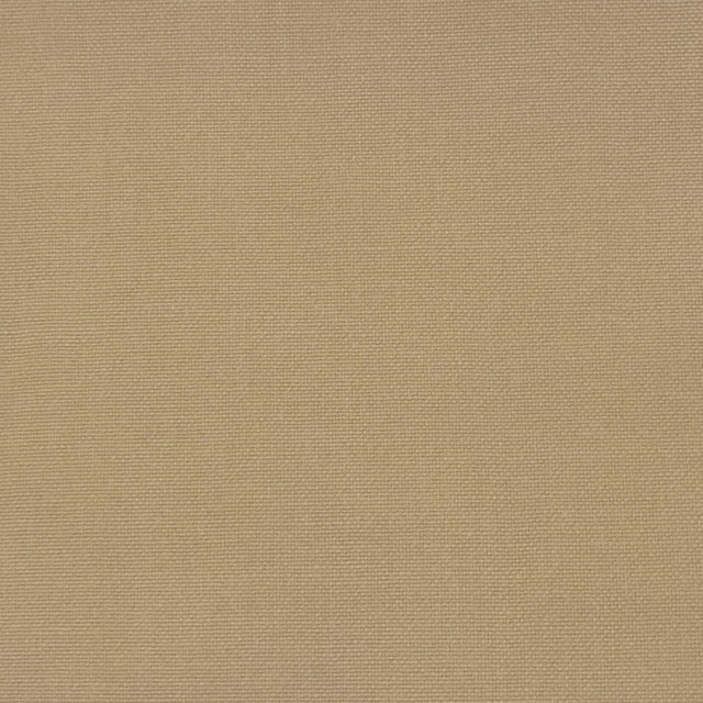 Gaston Y Daniela PALMA TIERRA Upholstery Fabric