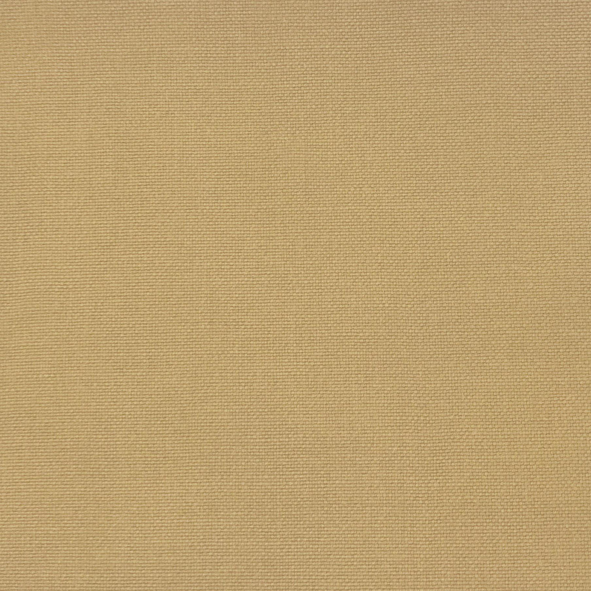 Gaston Y Daniela PALMA BARQUILLO Upholstery Fabric