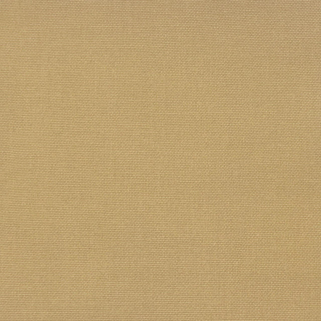 Gaston Y Daniela PALMA BARQUILLO Upholstery Fabric