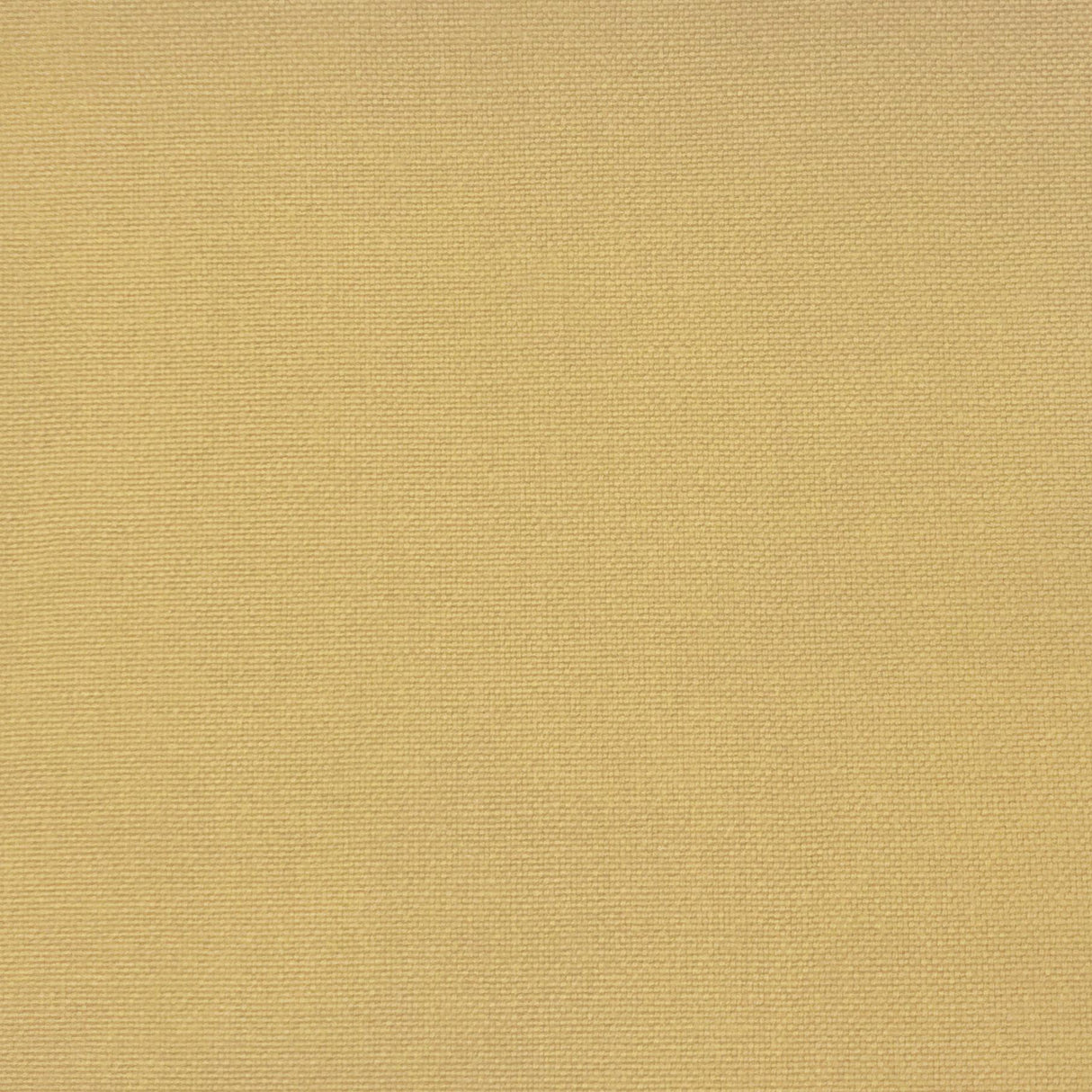 Gaston Y Daniela PALMA AMARILLO CLARO Upholstery Fabric