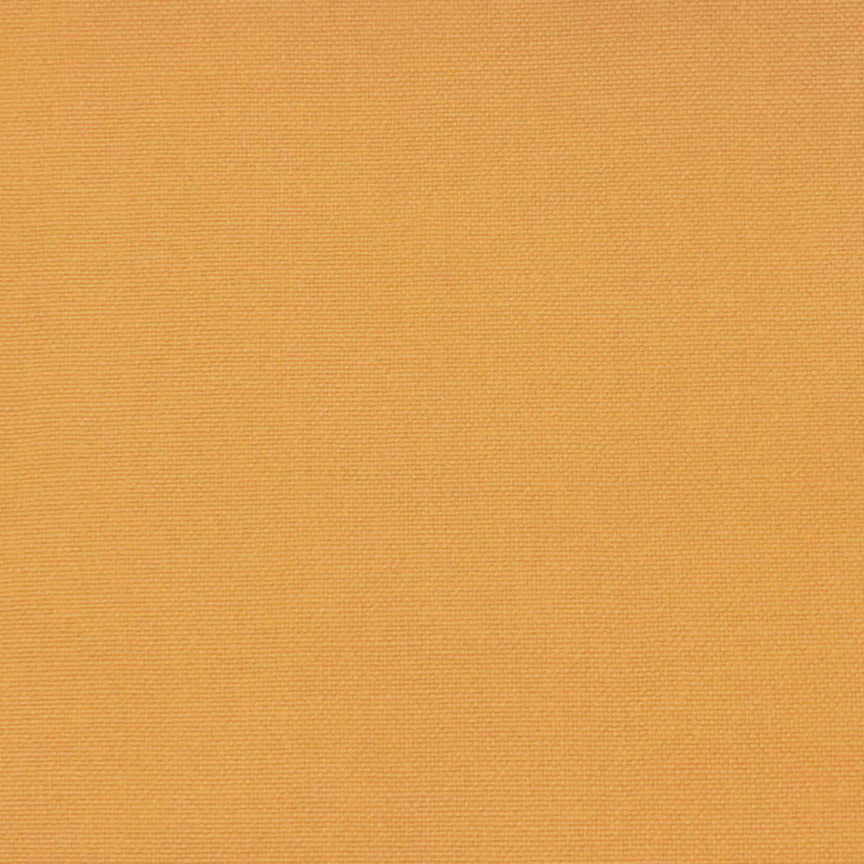 Gaston Y Daniela PALMA YEMA Upholstery Fabric
