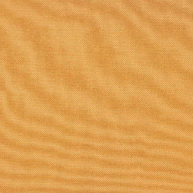 Gaston Y Daniela PALMA YEMA Upholstery Fabric