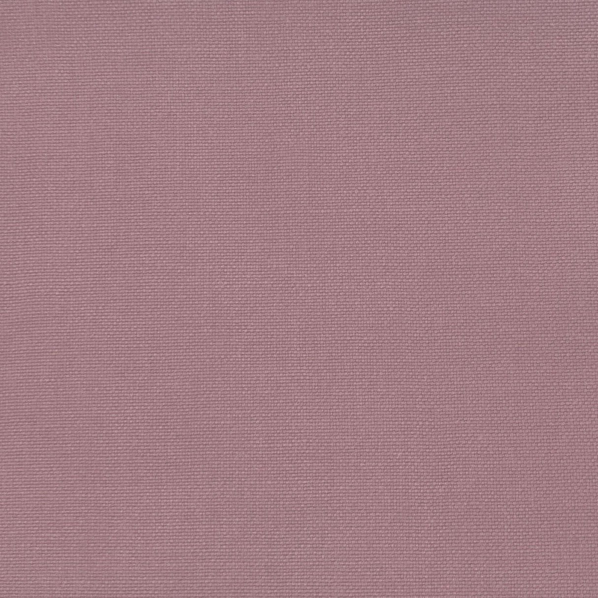 Gaston Y Daniela PALMA ROSA Upholstery Fabric