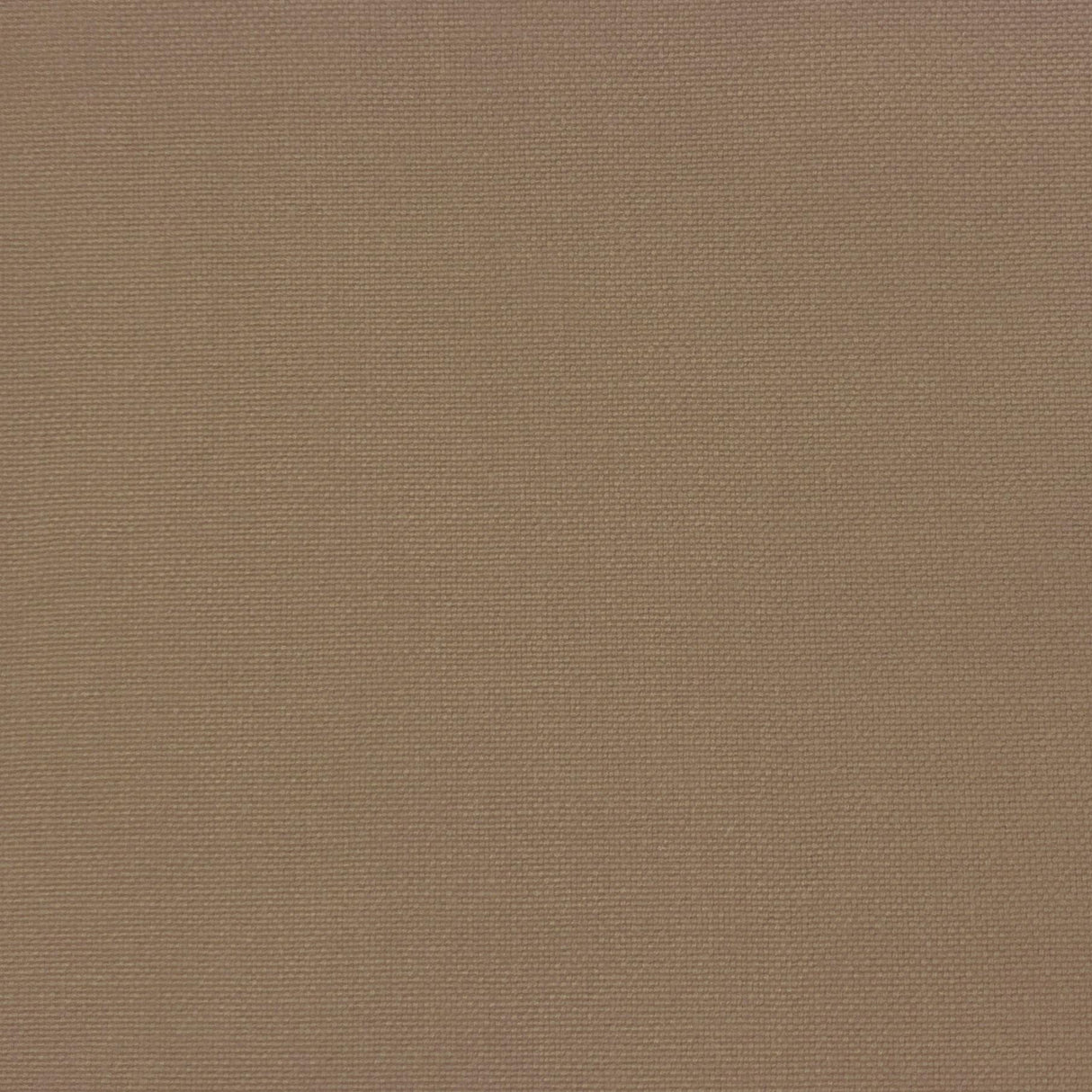 Gaston Y Daniela PALMA CAFE Upholstery Fabric