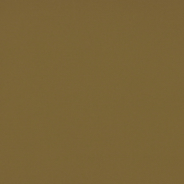 Gaston Y Daniela PALMA ACEITUNA Upholstery Fabric