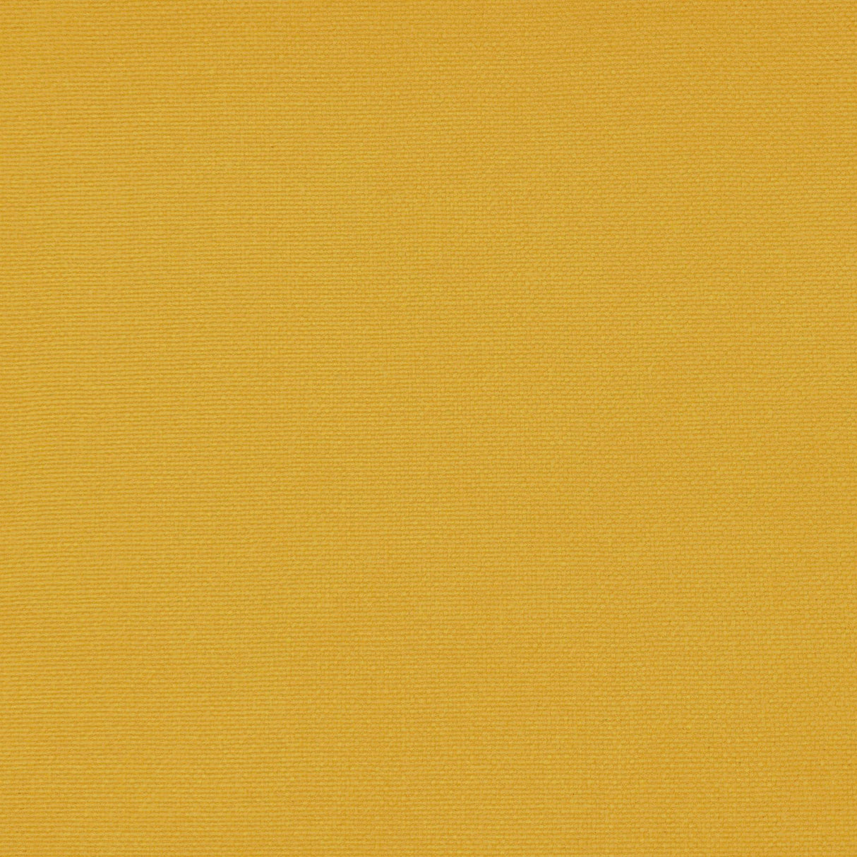 Gaston Y Daniela PALMA LIMON Upholstery Fabric