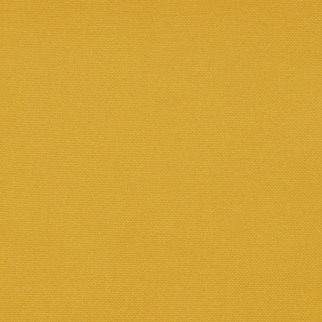 Gaston Y Daniela PALMA LIMON Upholstery Fabric