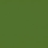 Gaston Y Daniela PALMA VERDE MENTA Upholstery Fabric