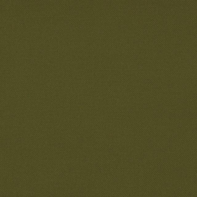 Gaston Y Daniela PALMA VERDE Upholstery Fabric