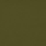 Gaston Y Daniela PALMA VERDE Upholstery Fabric