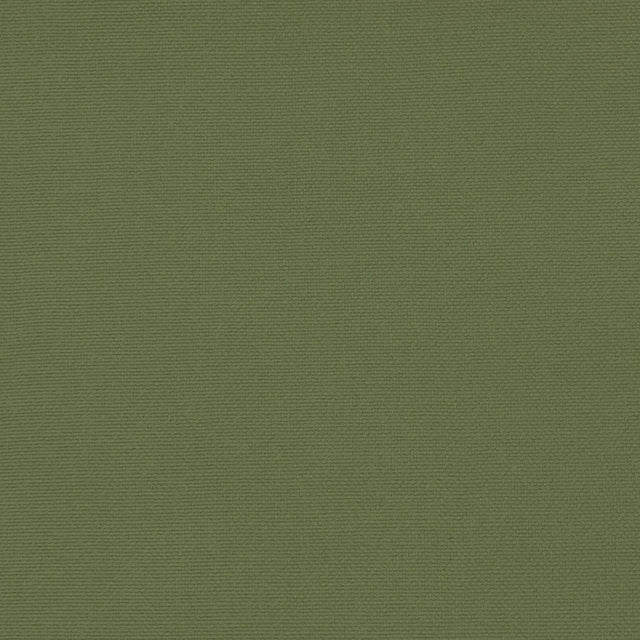 Gaston Y Daniela PALMA VERDE AGUA Upholstery Fabric