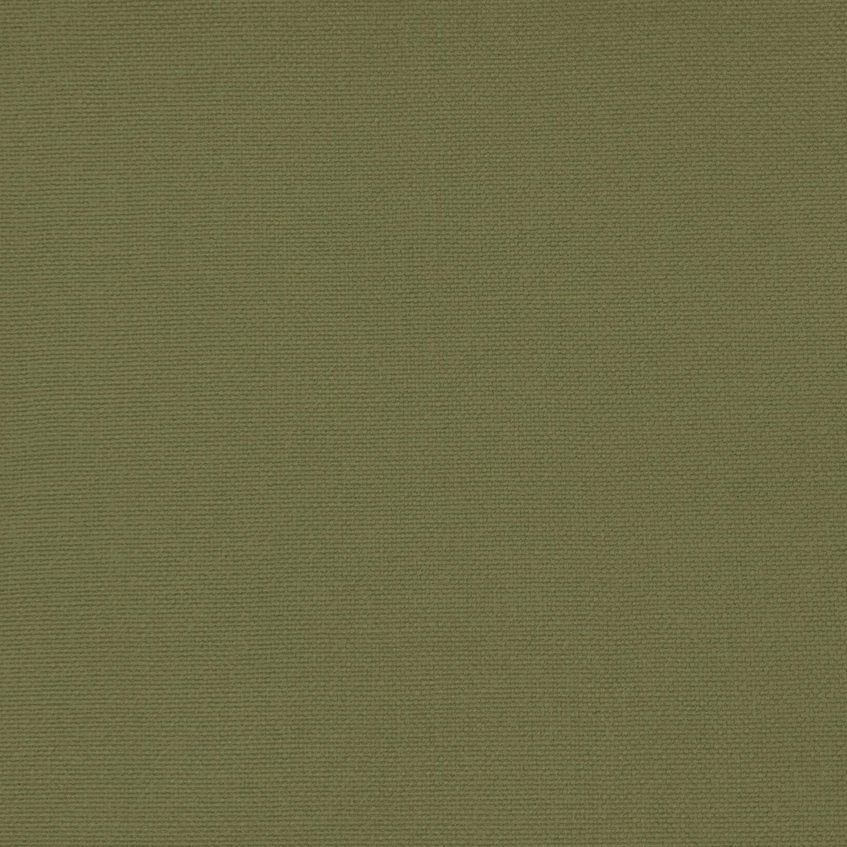 Gaston Y Daniela PALMA VERDE ALAMO Upholstery Fabric