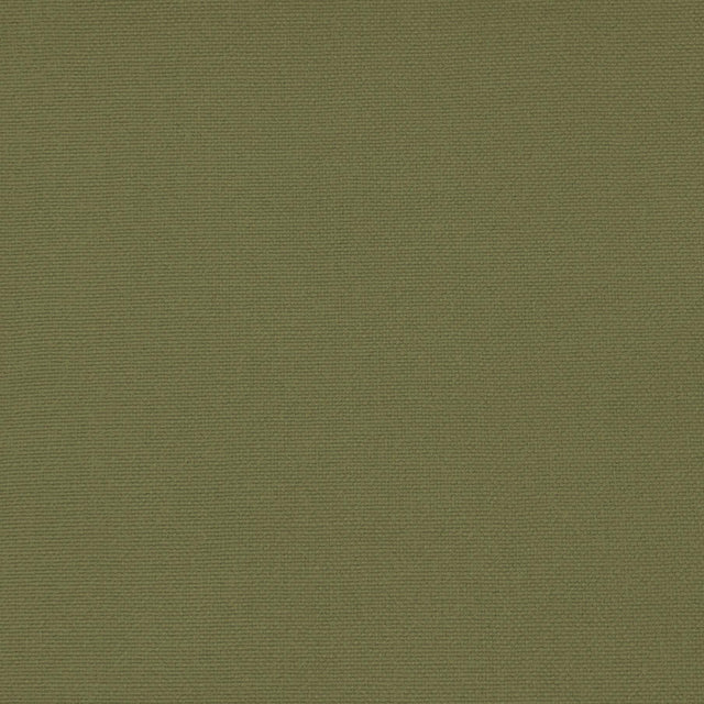 Gaston Y Daniela PALMA VERDE ALAMO Upholstery Fabric