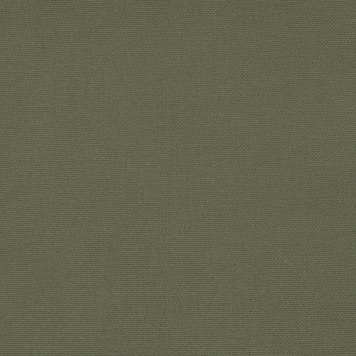Gaston Y Daniela PALMA TORTUGA Upholstery Fabric