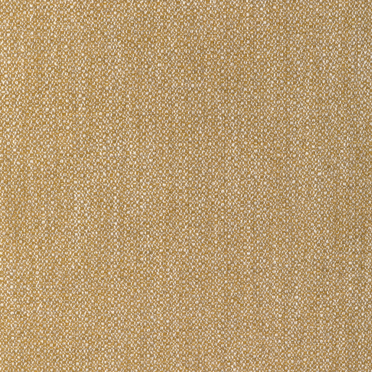 Lee Jofa TORUS GLOW Upholstery Fabric