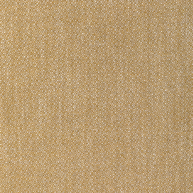 Lee Jofa TORUS GLOW Upholstery Fabric