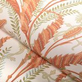 Brunschwig & Fils VERNAY APRICOT Wallpaper