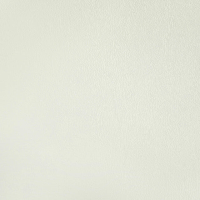 Kravet RAND GESSO Upholstery Fabric