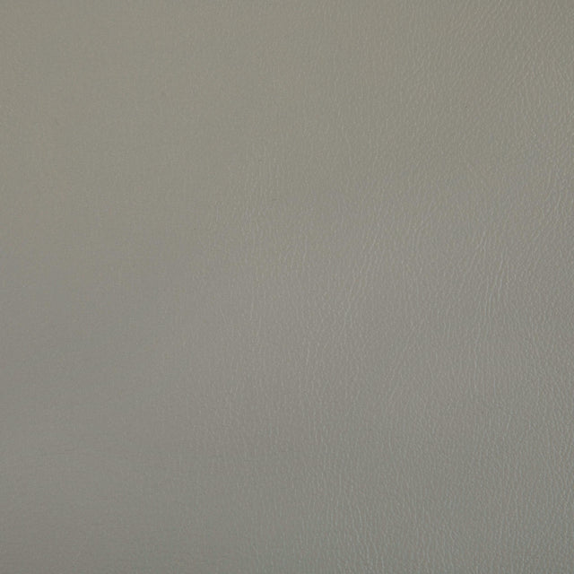 Kravet RAND PORCINI Upholstery Fabric