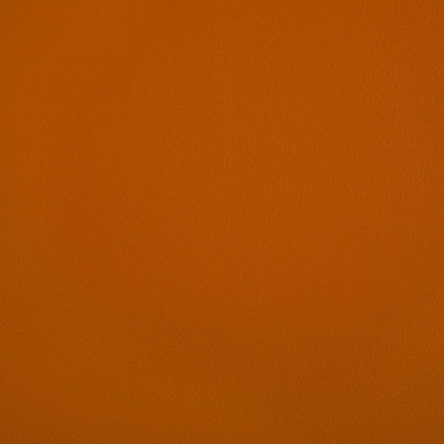 Kravet RAND SQUASH Upholstery Fabric