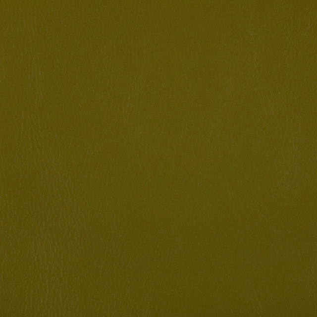 Kravet RAND WASABI Upholstery Fabric